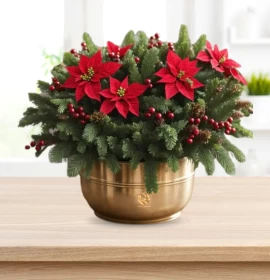 Golden Poinsettia Joy