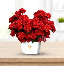 UPGRADED - Red Rose Bouquet in Elegant White Box