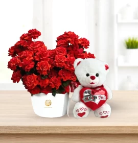 Upgraded with White Teddy 45cm